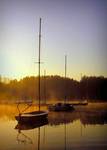 Kotwicowisko