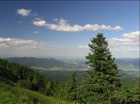 Jeseniki