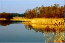 Wczesna wiona nad jeziorem