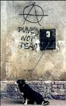 Anarchy in RP