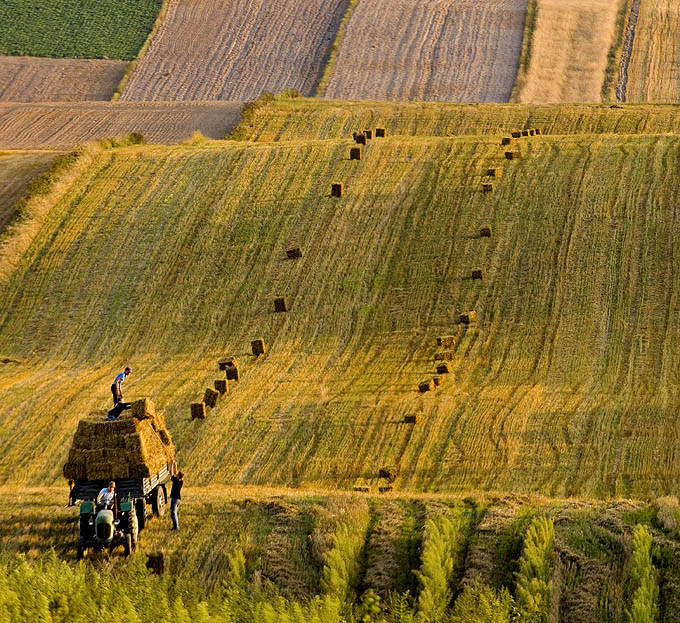 tetrisowy traktor