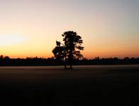 samotnik