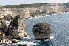 Bonifacio