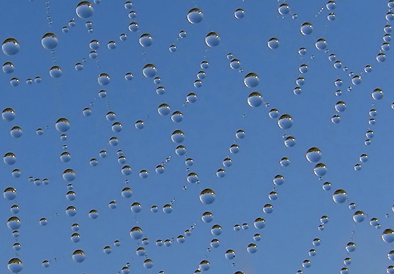 UFO ??