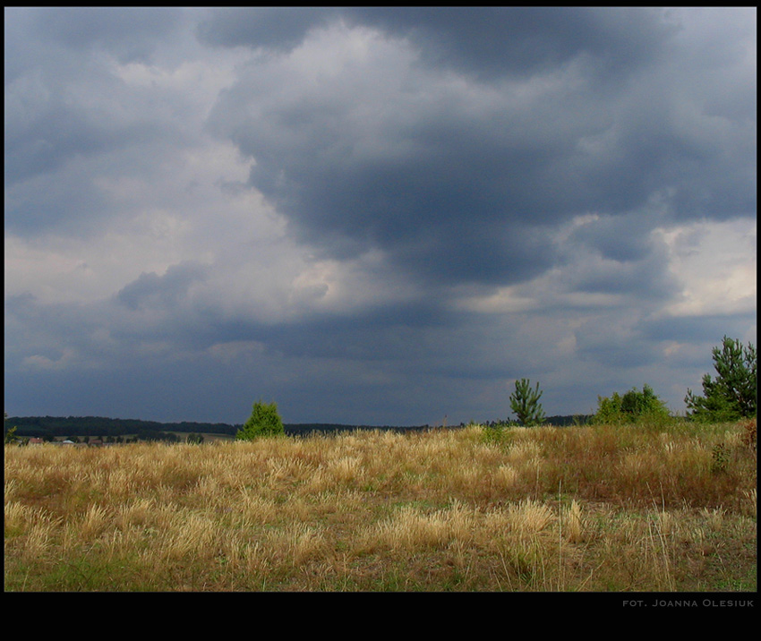 Podlasie