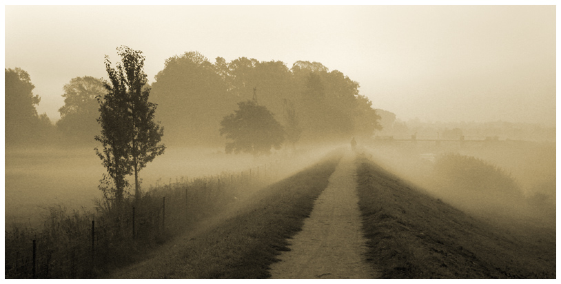 Sleepwalker