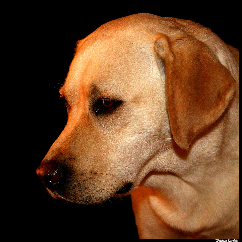 Smutek