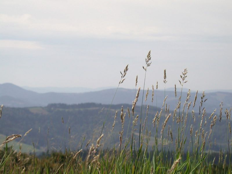 Beskidy