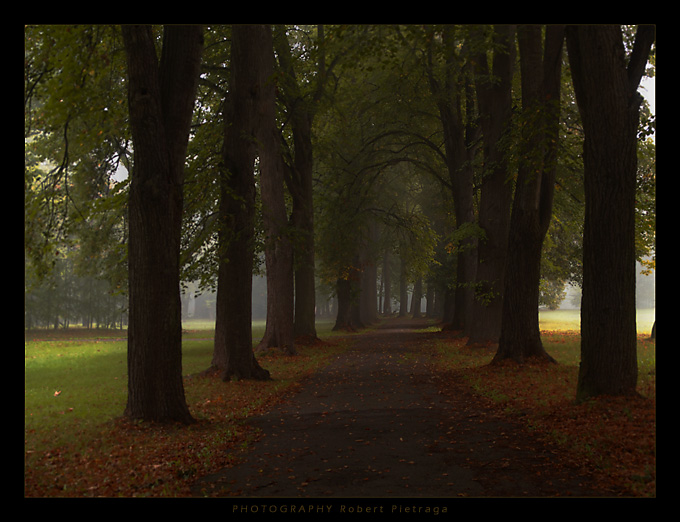...park...
