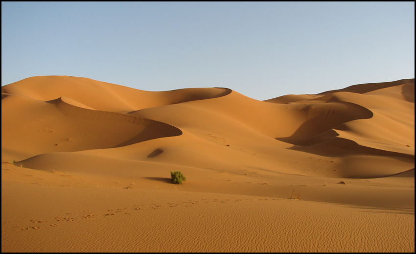 Sahara