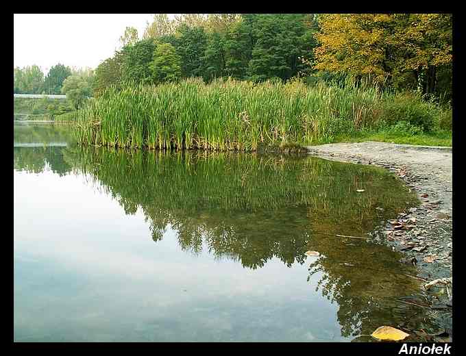 Aniolek_74