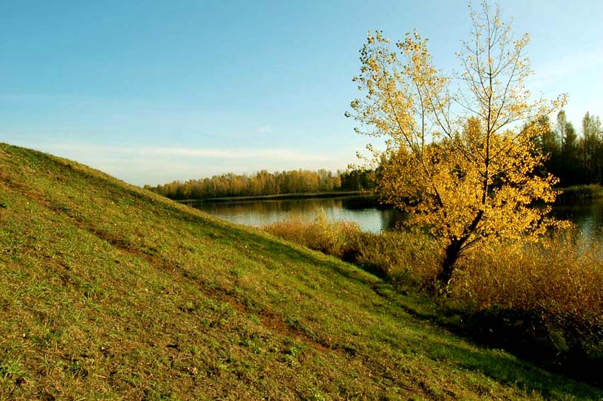 Nitka