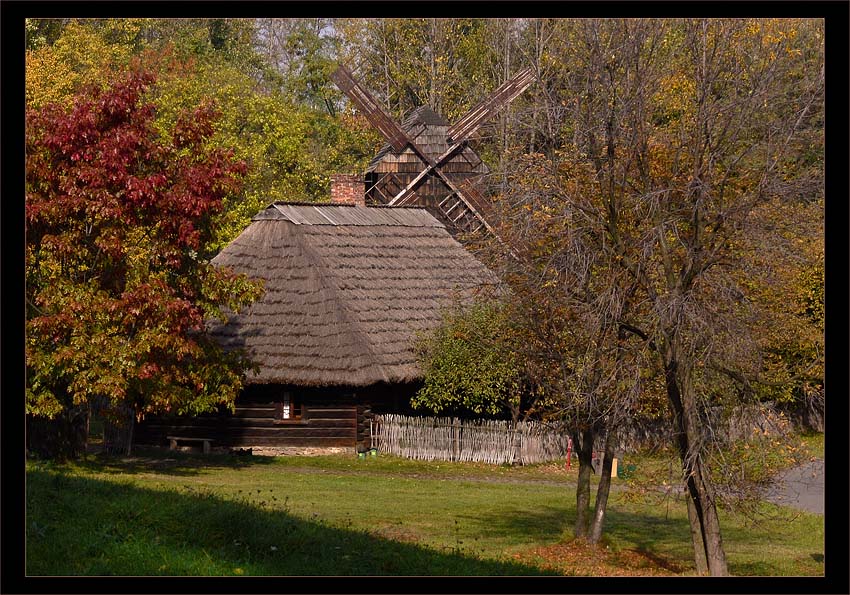 sznapol