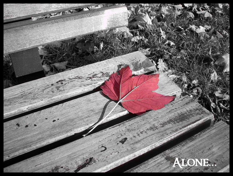 alone...