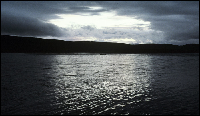 draoi