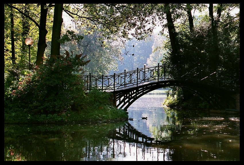 Pszczyna - park II