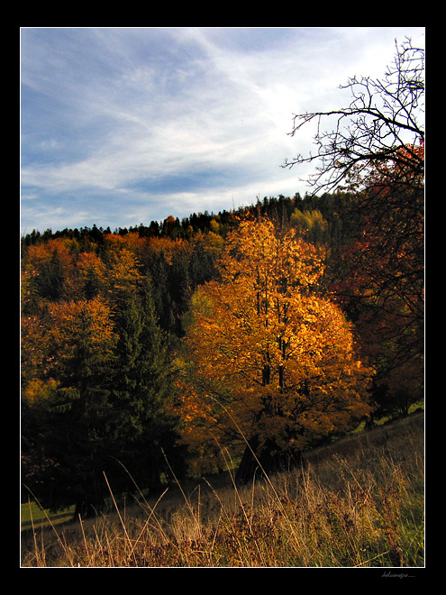 ...beskid śląski...