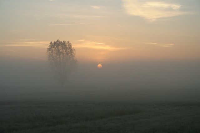 Mgła