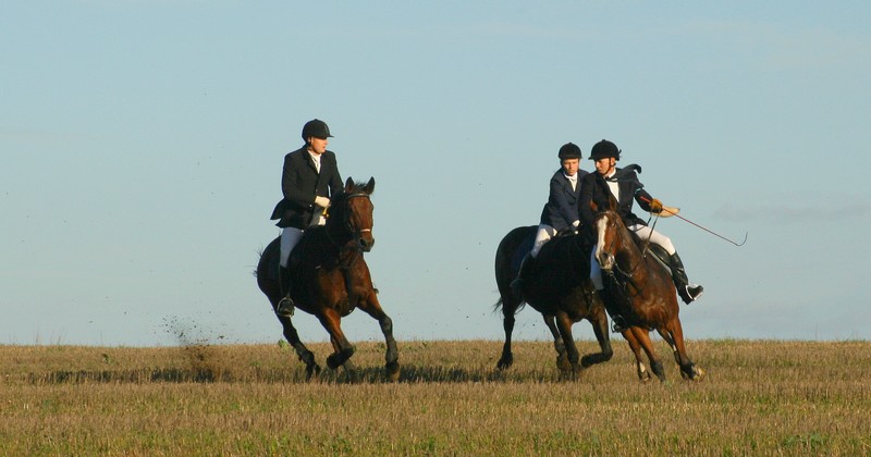 Hubertus c.d