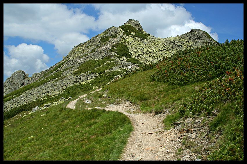 Ornak