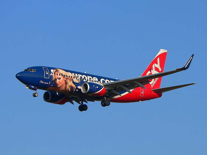 Flying beauty