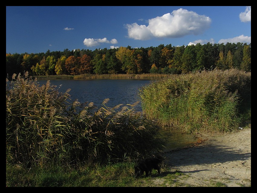 barwy jesieni #2