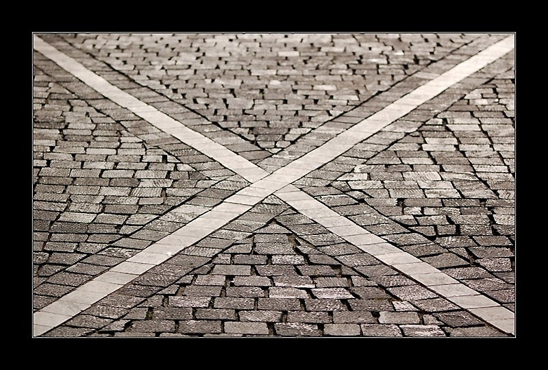 Venatrix