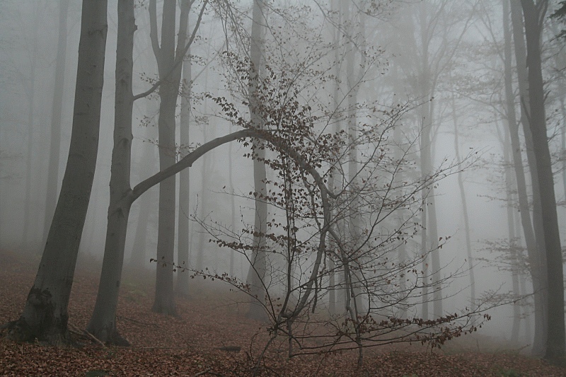 november