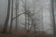 november
