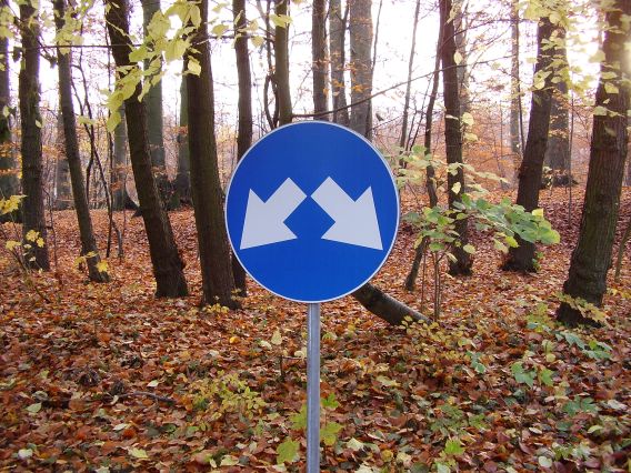 gdzie dalej ?