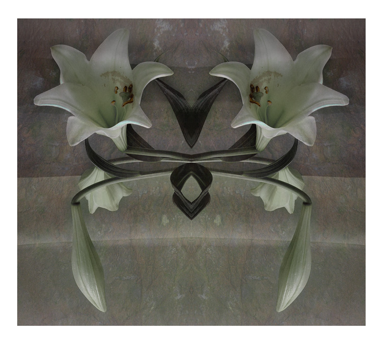 ornament