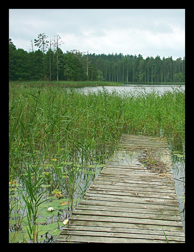 j.Długie