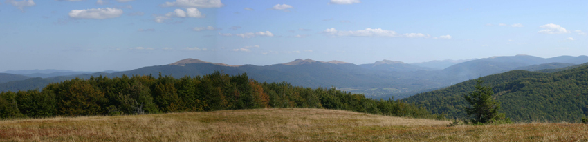 robert-sawicki
