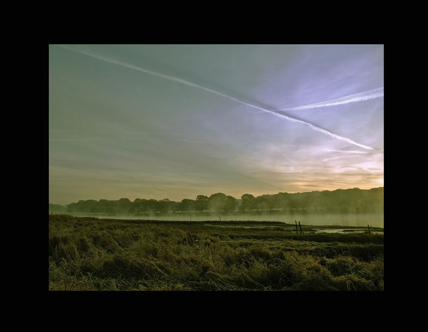\"field of cold dreams\"