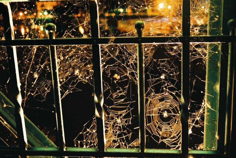 The Web