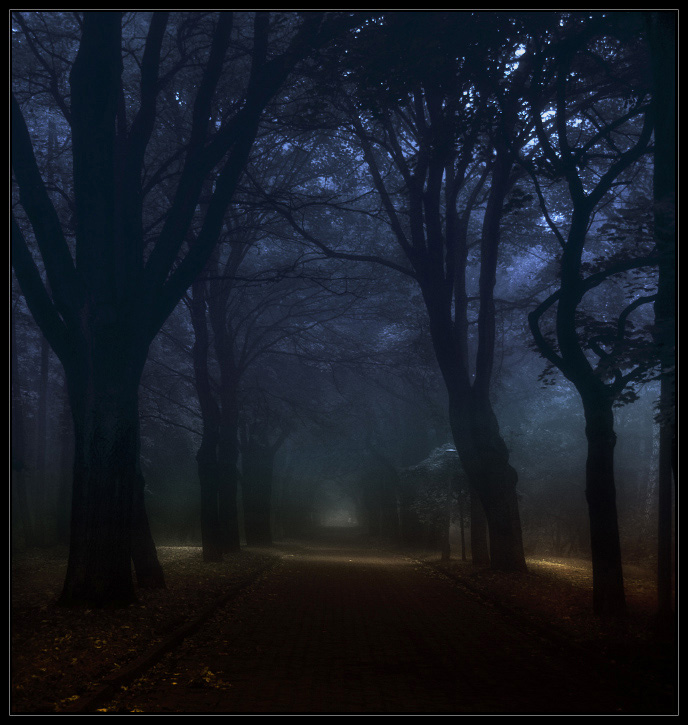 Thirst for light