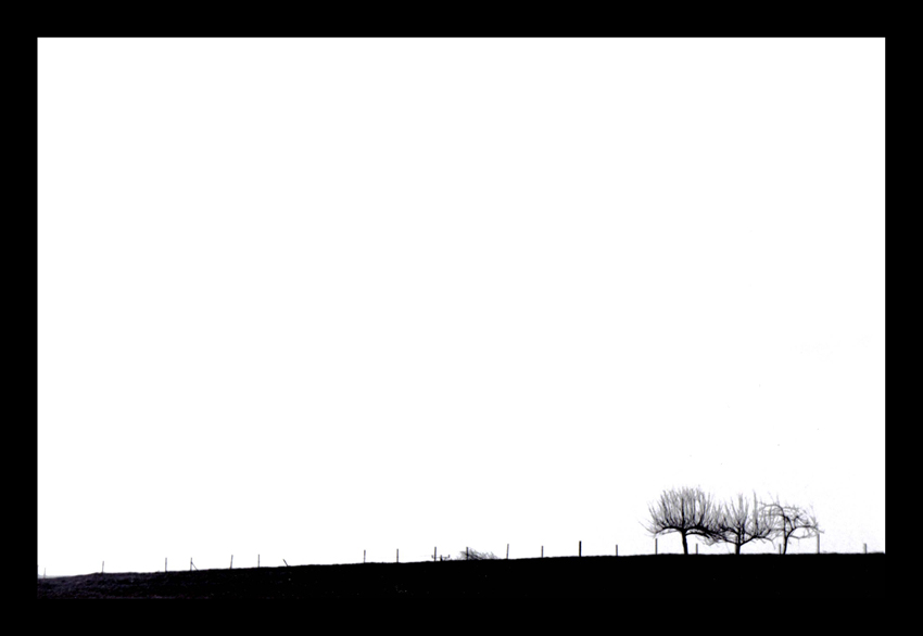 FOTO - GRAFIKA