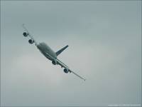 Arbuz 380