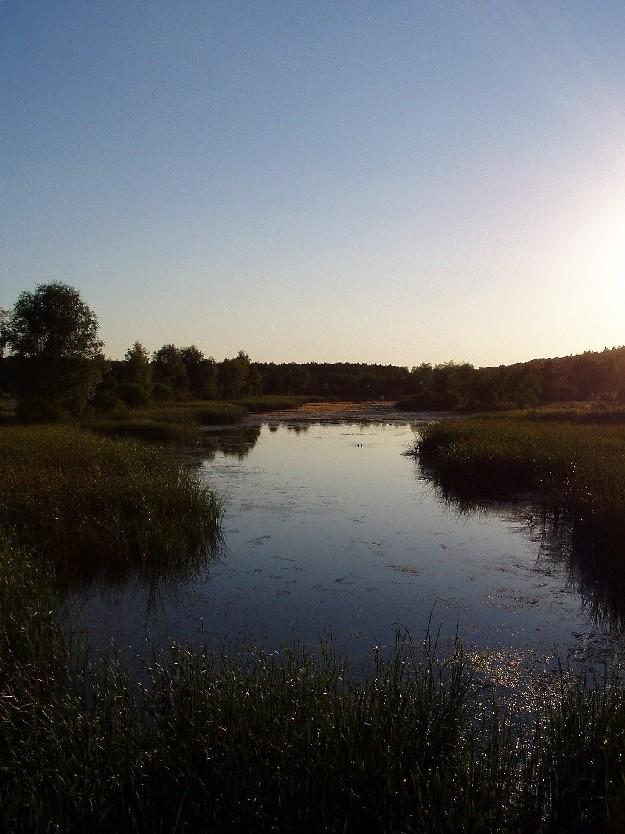 Łaski