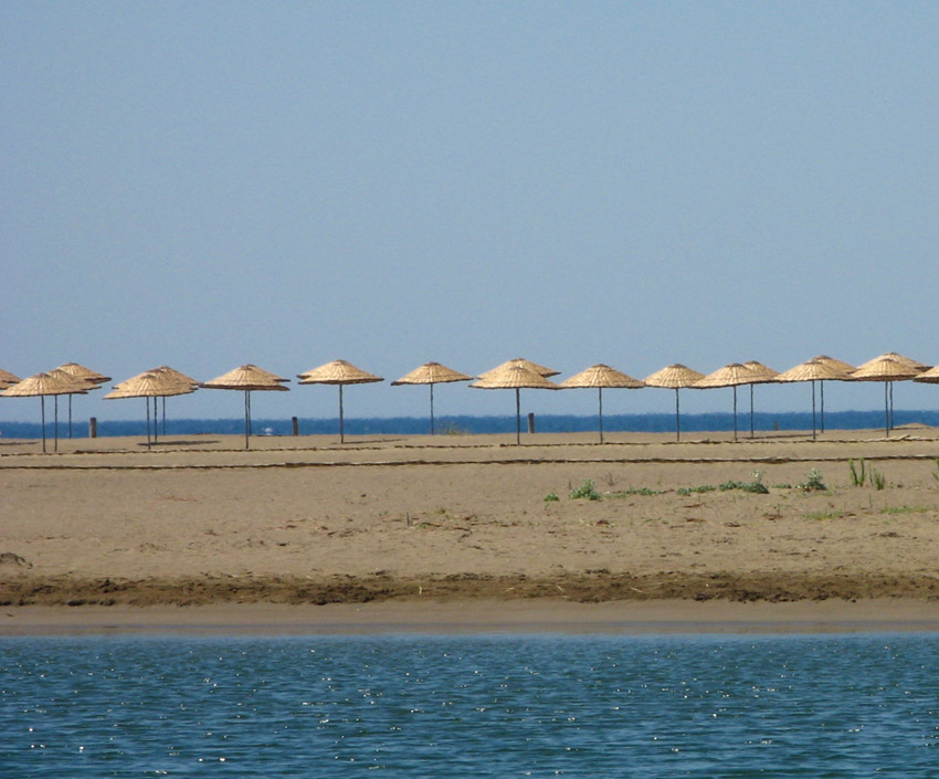 parasole