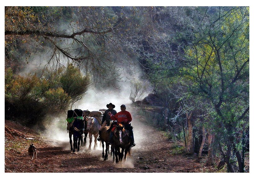 Havasupai Tribe
