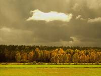 podlasie 6