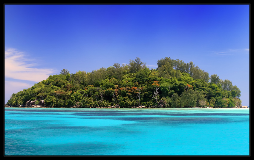 Island of the blue delphins