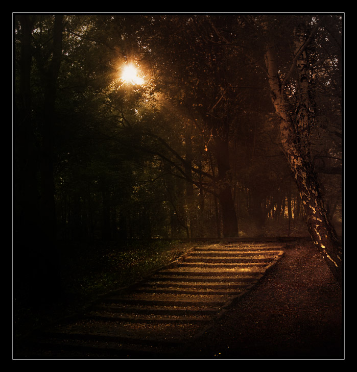 Run light