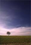 Inspired nature