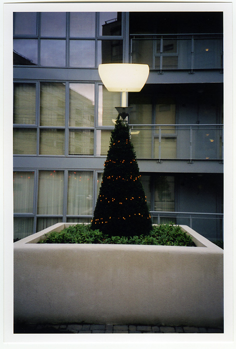Xmas