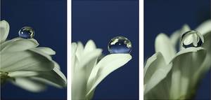 .:Fragile:.