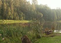 Pilica