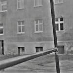 trzepak Ci wszystko wybaczy (2)