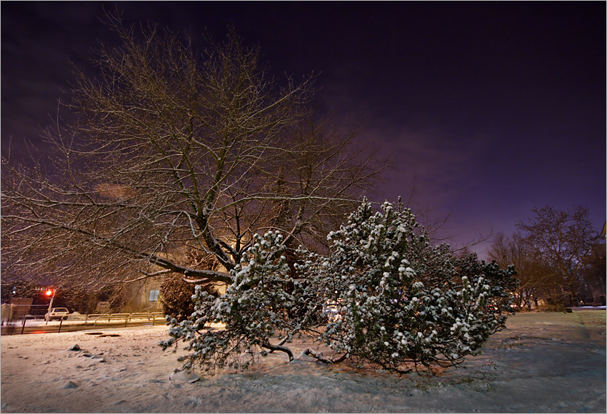 BARTODZIEJE by NIGHT